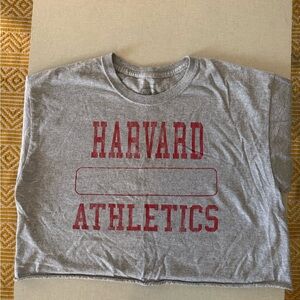 Harvard Athletics cropped shirt